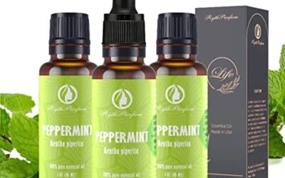 RythParfum Peppermint Essential Oil with Dropper|100% Pure,Undiluted Natural Mint Oil for Diffuser,Humidifier,Aromatherapy| Peppermint Oil for Hair,Massager Fresh,Relax (Pack of 3 oz)