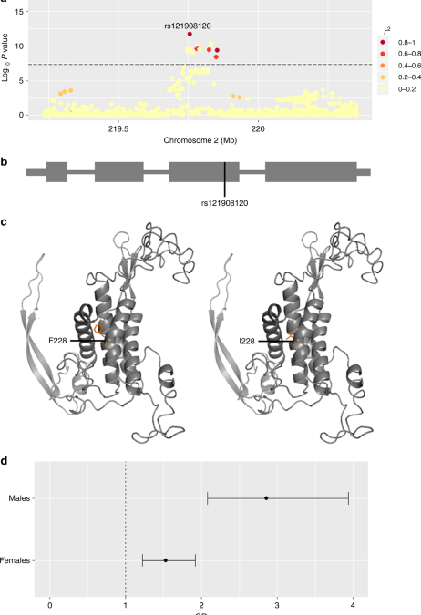 Genome-wide meta-analysis implicates mediators of hair follicle development and morphogenesis in risk for severe acne