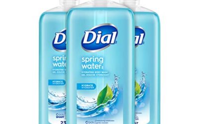 Dial Body Wash, Refresh & Renew Spring Water, 23 fl oz (Pack of 3)