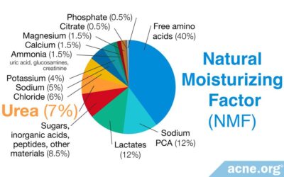 Urea and Its Role in the Skin