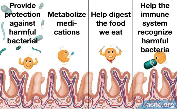 the-role-of-good-bacteria-in-the-gut