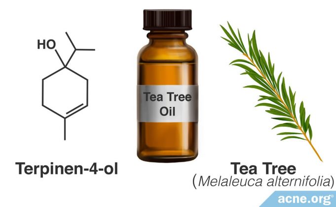 does-tea-tree-oil-really-work-to-clear-acne?