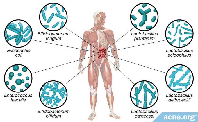 do-probiotics-clear-acne?