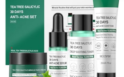 Tea Tree Acne Treatment Skin Care Kit – Salicylic Acid Skin Care Set – Acne Treatment for Face – Skin Care for Teens 10-12 – Salicylic Acid Serum,Clean Foam,Toner,Face Cream – Christmas Gifts Acne Kit