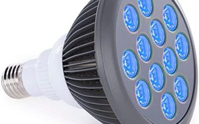 hooga Blue Light Therapy Bulb Power Cord Included. 415 nm Wavelength. 12 LEDs. High Irradiance, Treatment for Acne and Sun Damage. Can Improve Skin Texture and Tigthen Skin.