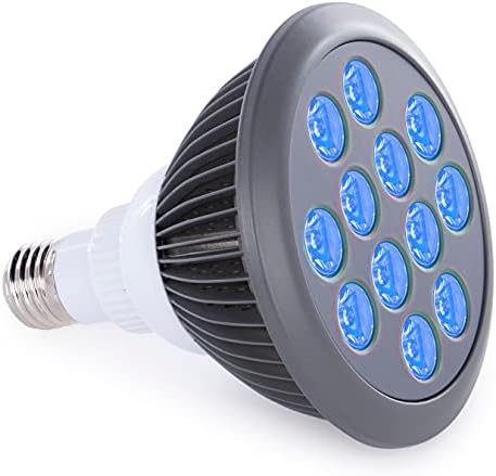 hooga Blue Light Therapy Bulb Power Cord Included. 415 nm Wavelength. 12 LEDs. High Irradiance, Treatment for Acne and Sun Damage. Can Improve Skin Texture and Tigthen Skin.